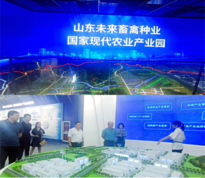 2024，循道而行——濟南公共資源交易中心鋼城分中心公共資源交易運行技術服務